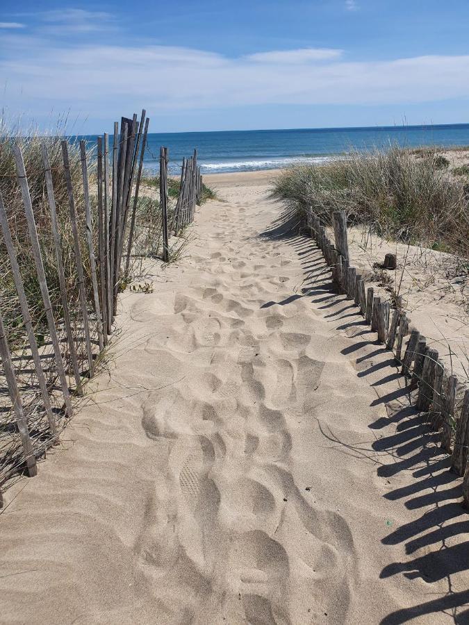 Marseillan A Deux Pas De La Plage Eksteriør billede